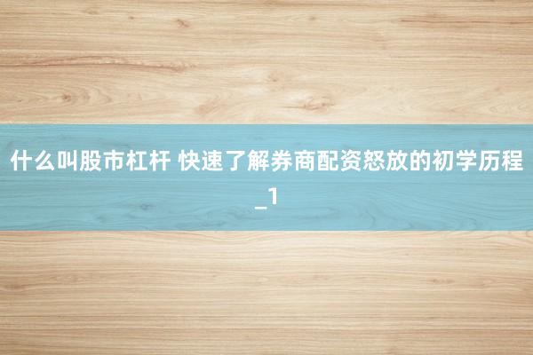 什么叫股市杠杆 快速了解券商配资怒放的初学历程_1